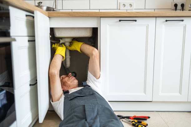 Best Plumbing Repair Near Me  in Centerville, IN