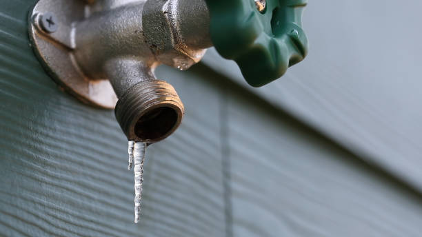 Best Emergency Plumbing Repair  in Centerville, IN